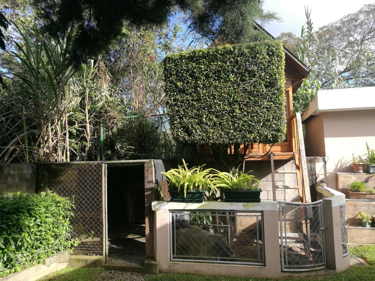 Casa Familiar La Arboleda Daire Guatemala Dış mekan fotoğraf